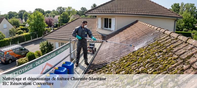 Nettoyage et démoussage de toiture 17 Charente-Maritime HC Rénovation Couverture-1