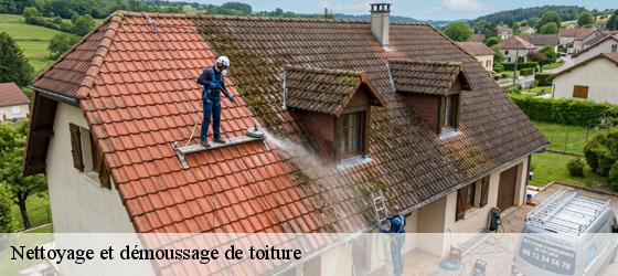 Nettoyage et démoussage de toiture 17 Charente-Maritime HC Rénovation Couverture-3