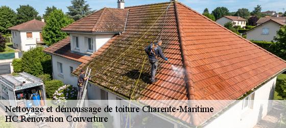 Nettoyage et démoussage de toiture 17 Charente-Maritime HC Rénovation Couverture-4