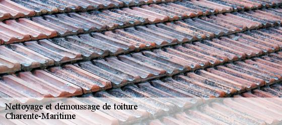 Nettoyage et démoussage de toiture 17 Charente-Maritime HC Rénovation Couverture-5