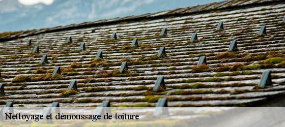 Nettoyage et démoussage de toiture 17 Charente-Maritime HC Rénovation Couverture-6