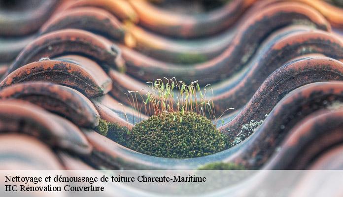 Nettoyage et démoussage de toiture 17 Charente-Maritime HC Rénovation Couverture-7
